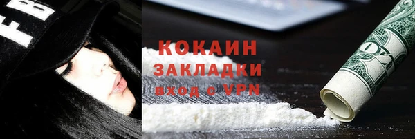 дмт Козельск