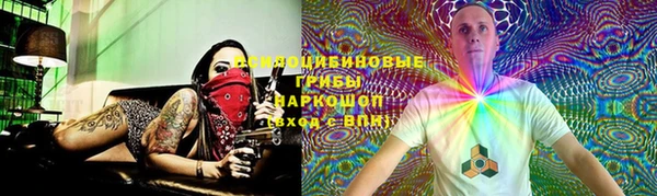 дмт Козельск