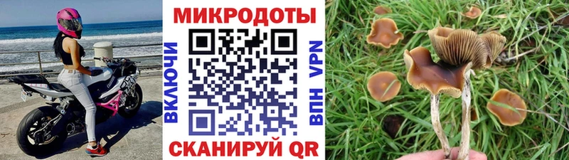 Галлюциногенные грибы Magic Shrooms  Купить где  Сусуман 