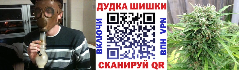Купить где  Сусуман  Бошки марихуана сатива 